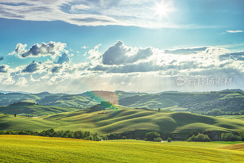 绿色的山丘在托斯卡纳，意大利-景观在Val d'Orcia